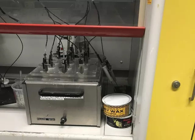 來自力聯(lián)思總部研發(fā)實驗室化學工程BENNY博士神秘驚喜&mdash;&mdash;Stoner蜜蠟250