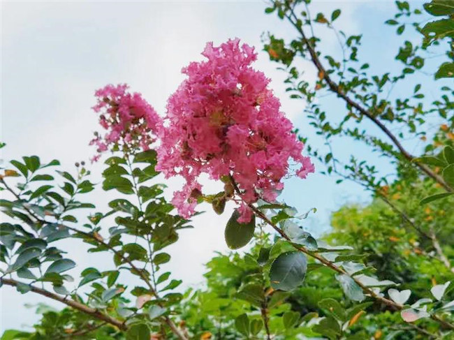 呼吸鮮氧，踐行公益&mdash;&mdash;廣東博皓公益活動：星溪線公益環保活動   -5